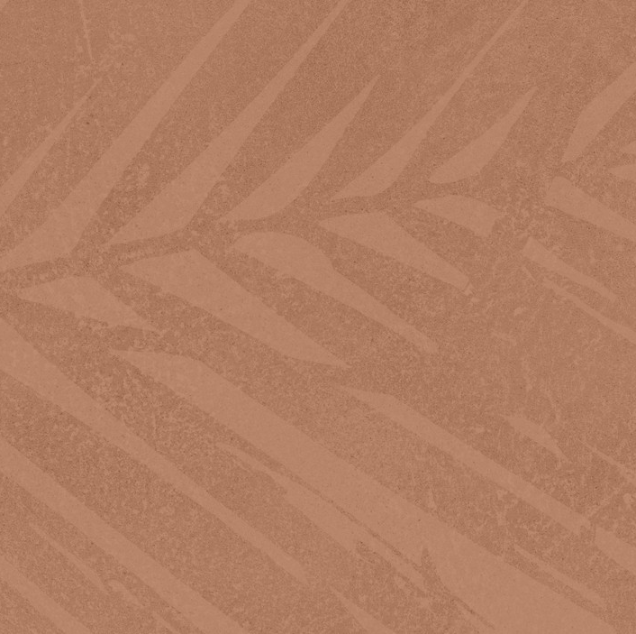 Atlas Concorde Boost Expression Life Sienna Matt Rt 50x120 - AZ6B