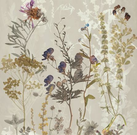 EWTG1496_1.jpg