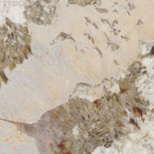 Pavimento in Gres Porcellanato Simil Marmo Patagonia Opaco 60x120 - CS25059