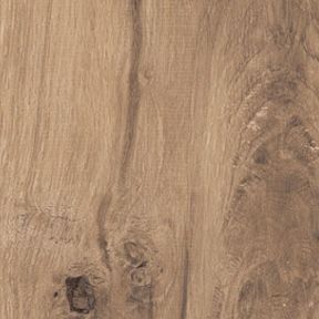 Gres Porcellanato Effetto Legno Moderno Marrone Antiscivolo 20X120 - Eare1369