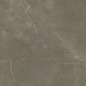 Gres Porcellanato Effetto Marmo Naturale Grigio Scuro Opaco Rt 60x120 - EATN1513
