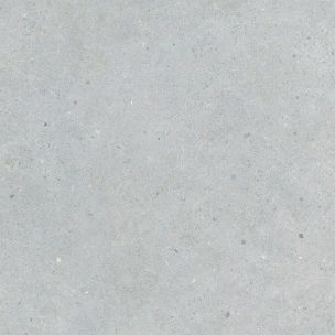 Gres Porcellanato Effetto Cemento Grigio Chiaro 20Mm R11 60X120 - Ebst333