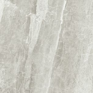 Gres Porcellanato Effetto Marmo Raffinato Grigio Chiaro Opaco 60X60 - Ecor811
