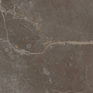 Fap Roma Stone Pietra Brown Matt 120X120 - fQVW