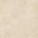 Caesar Histoire Artois Matt Rt 30x60 - AHTM