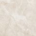 Gres Porcellanato Effetto Marmo Naturale Grigio Chiaro Lucido 60x60 - EAPL1522