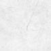 Gres Porcellanato Effetto Marmo Carrara Opaco 120X120 - Ecga801