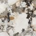 Gres Porcellanato Effetto Marmo Patagonia Lucido 60X120 - Epaa158