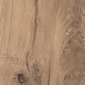 Gres Porcellanato Effetto Legno Moderno Marrone Antiscivolo 20X120 - Eare1369