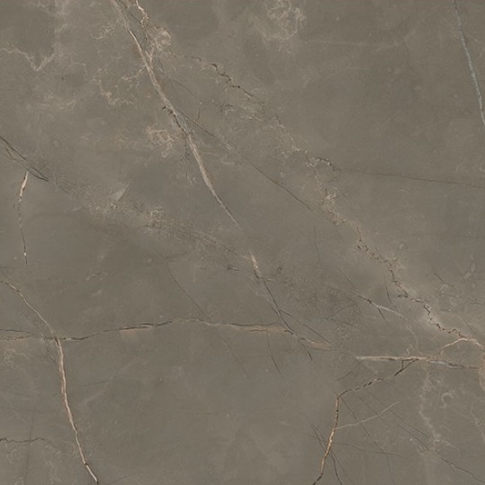 Gres Porcellanato Effetto Marmo Naturale Grigio Scuro Opaco Rt 60x120 - EATN1513