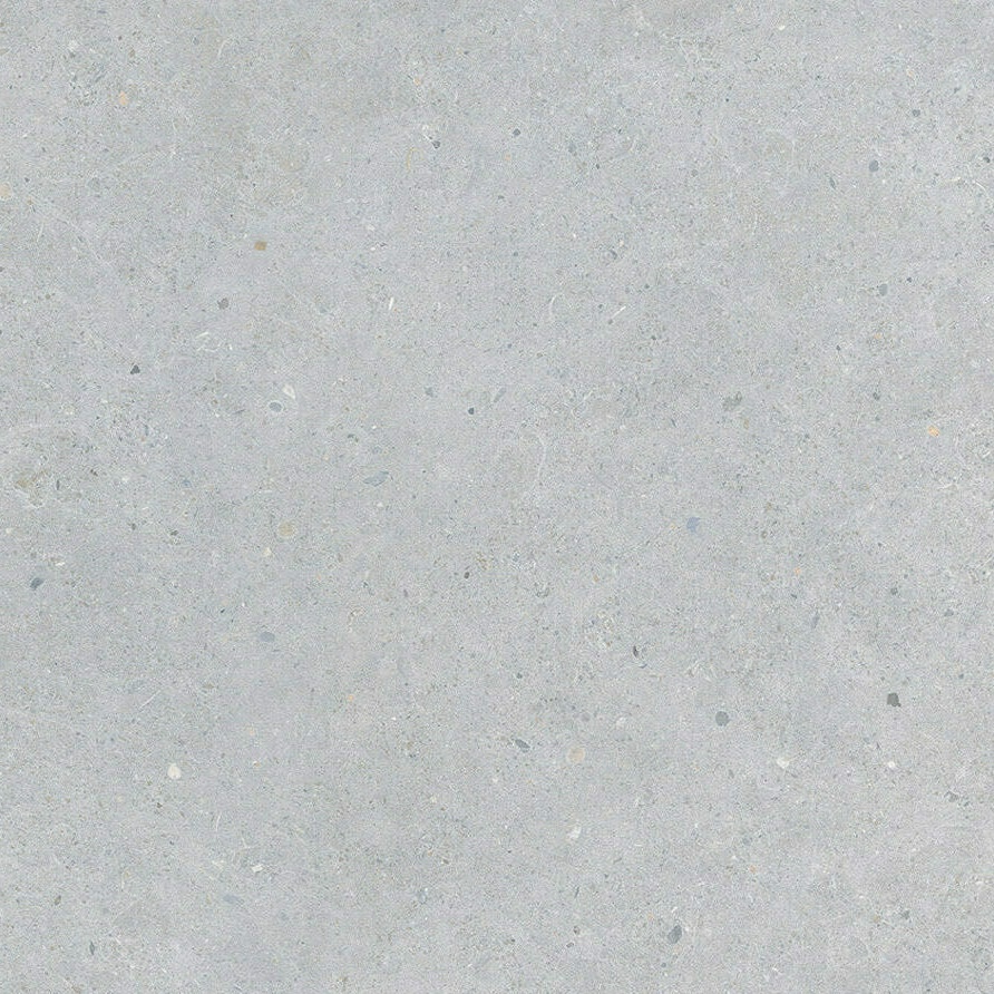 Gres Porcellanato Effetto Cemento Grigio Chiaro 20Mm R11 60X120 - Ebst333