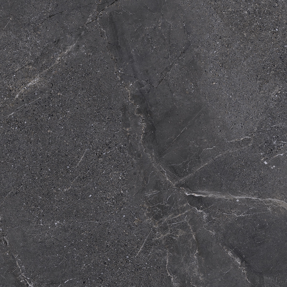 Gres Porcellanato Effetto Pietra Venato Nero Antiscivolo 60X60 - Ewbe1334