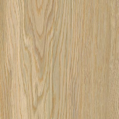 Gres Porcellanato Effetto Legno Moderno Elegante Marrone Chiaro Antiscivolo 20x120 - EWCR1670